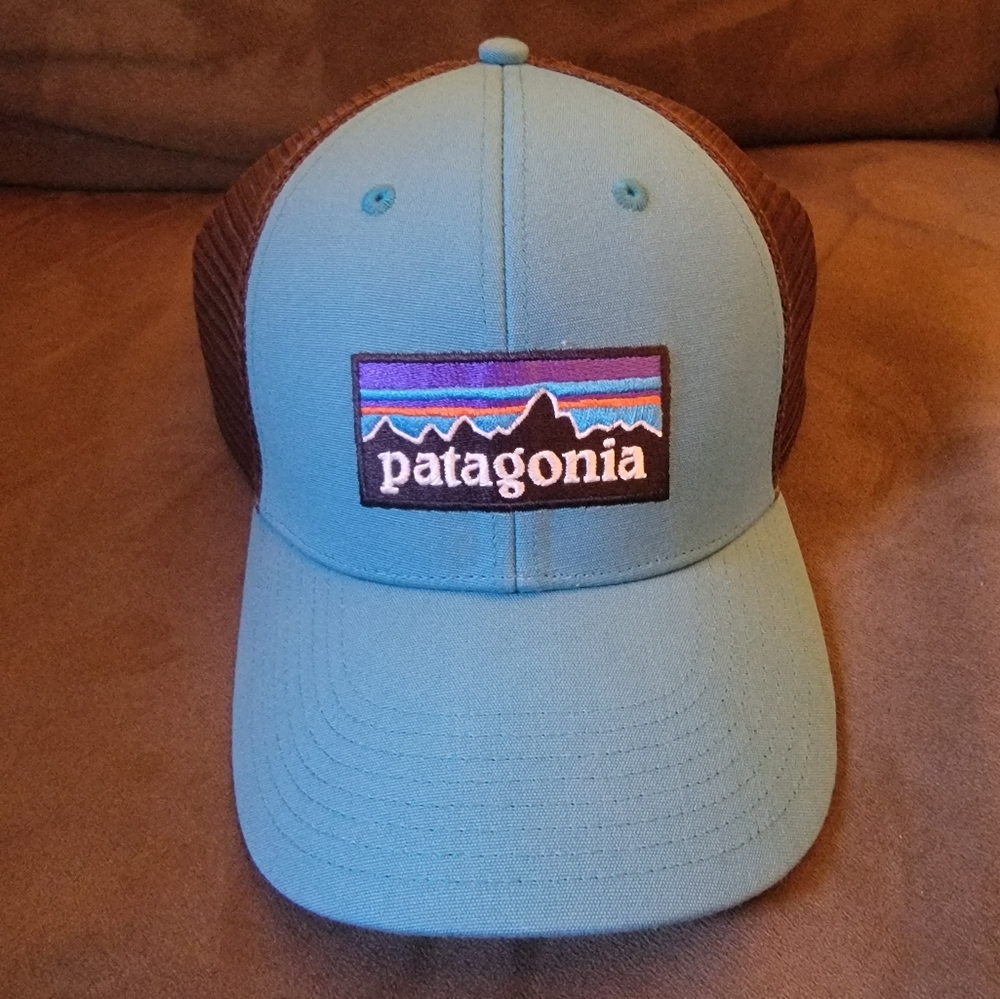 Patagonia trucker hat